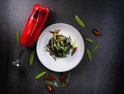 Bamix Cordless, Ladattava Sauvasekoitin, Punainen