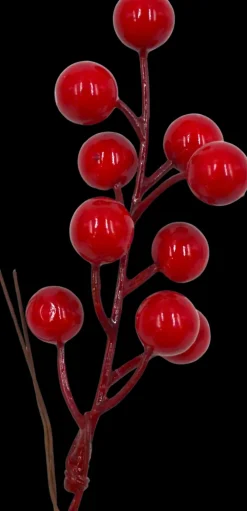 J.K. Primeco Koristemarjat Iso Punainen 3 Kpl