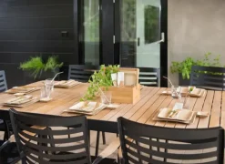 Maku Palmunlehtilautanen 20X20 Cm 10 Kpl