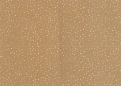 2-Osainen Uusiokorttipohja Piste 10Kpl/Pkt