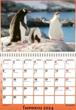 Seinakalenteri Forget-Me-Not-Wall