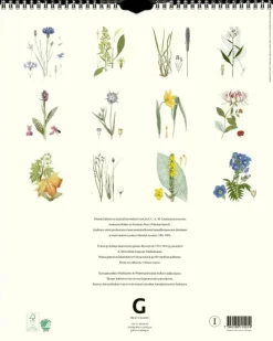 Seinakalenteri Kasvit Lindman 2024