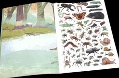 Wild Forest Tarrakirja